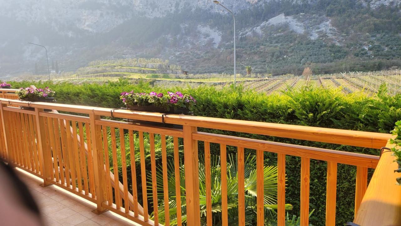 Agriturismo Vin E Amor ドロ エクステリア 写真