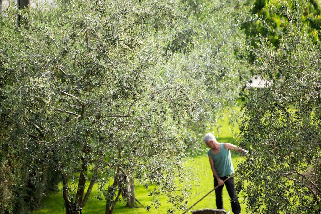Agriturismo Vin E Amor ドロ エクステリア 写真